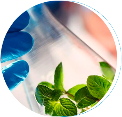 desenvolvimentodebioprocessos